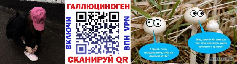 Псилоцибиновые грибы Magic Shrooms  hydra сайт  Аркадак 
